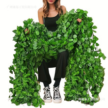 �羳���泣���پGֲ�ٗl����������������Gɫֲ���҃�������b�