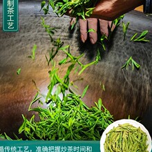 ������ǰ����,���Įa���������������^���r����