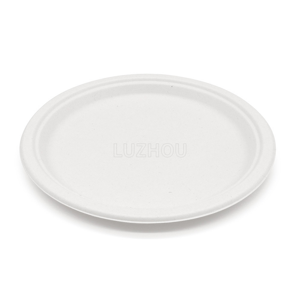 Fábrica verde al por mayor Pulpa de bagazo Pulpa de bambú disco de 9 pulgadas ecológico vajilla desechable degradable compostable