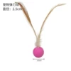 Plastic band feather single installation rose red