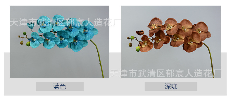 色卡_04.jpg