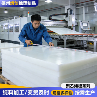 匹克球及其他球类