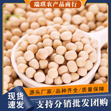 四川白豌豆农家生豌豆干可发豆芽豌豆粒干小面商用豆类粮豌豆