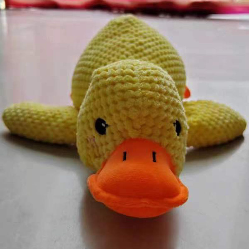 0a1e5871-c431-4a63-8879-458a47