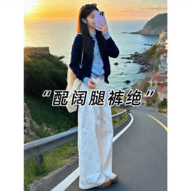 仅用于产品展示勿拍-假两件设计感长袖针织开衫毛衣女冬季新款修