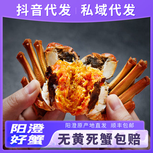 �r����lз�K��ꖳ�ԭ�a�ؾ�����з���Sֱ�l�����������l���l