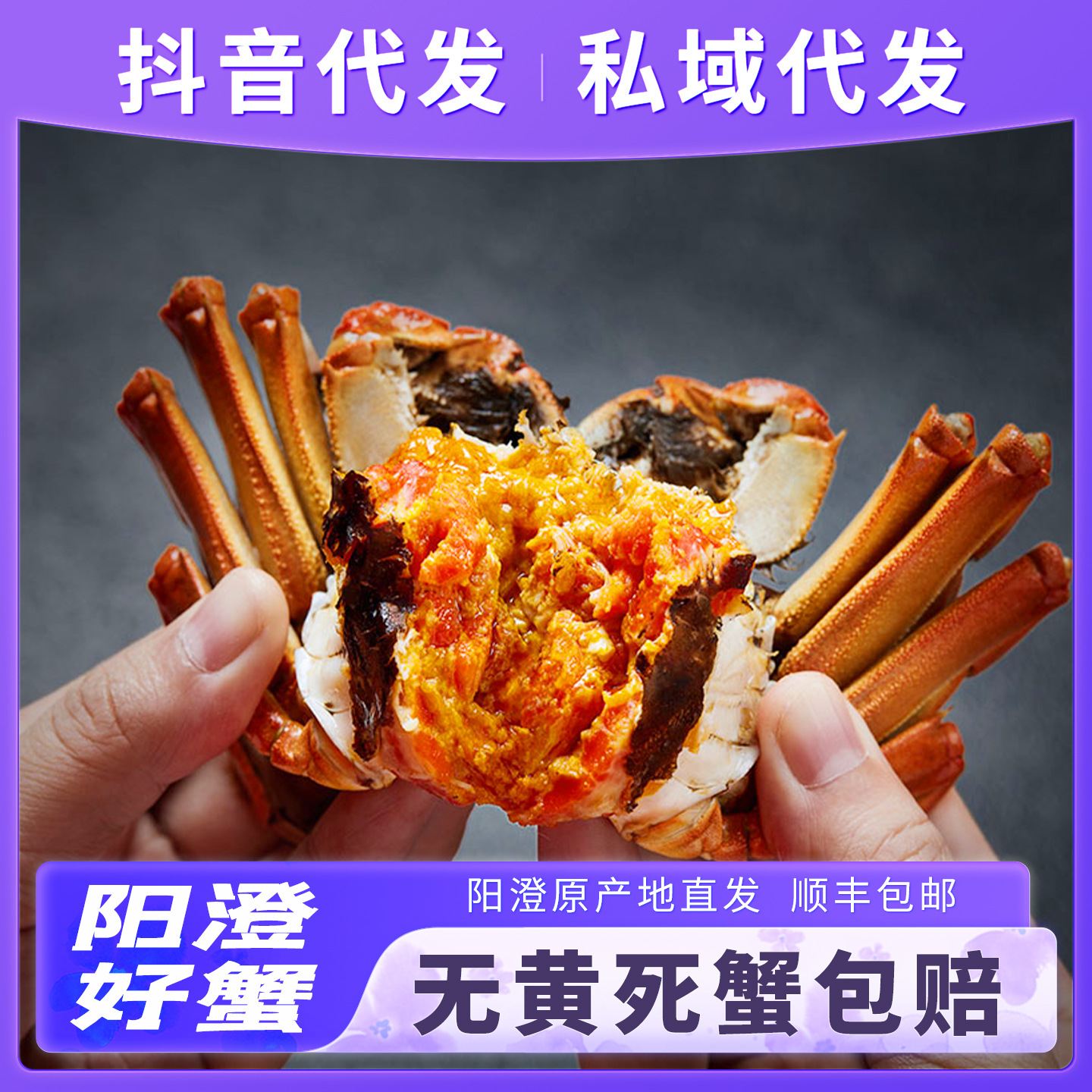 鲜活大闸蟹苏州阳澄原产地精挑湖蟹工厂直发代理加盟批发代发