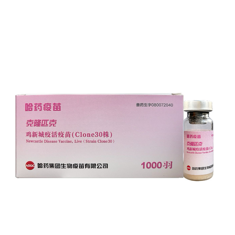 微信图片_20250429140652