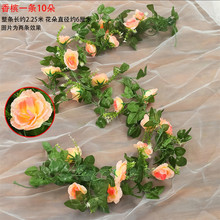 ���滨��õ�廨�ٗl�ٻ��ٗl�����G�~10�^���Nˮ���p�@����b�