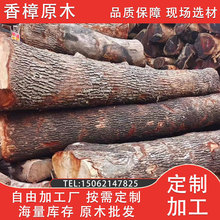 张家港直供香樟原木天然防腐 家具雕刻木料板材 香樟木料现货批发