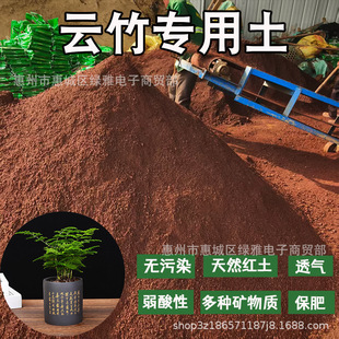 ���t����Ȼ�����w�����Gֲ���Ԍ��������V��I�B���B���t����