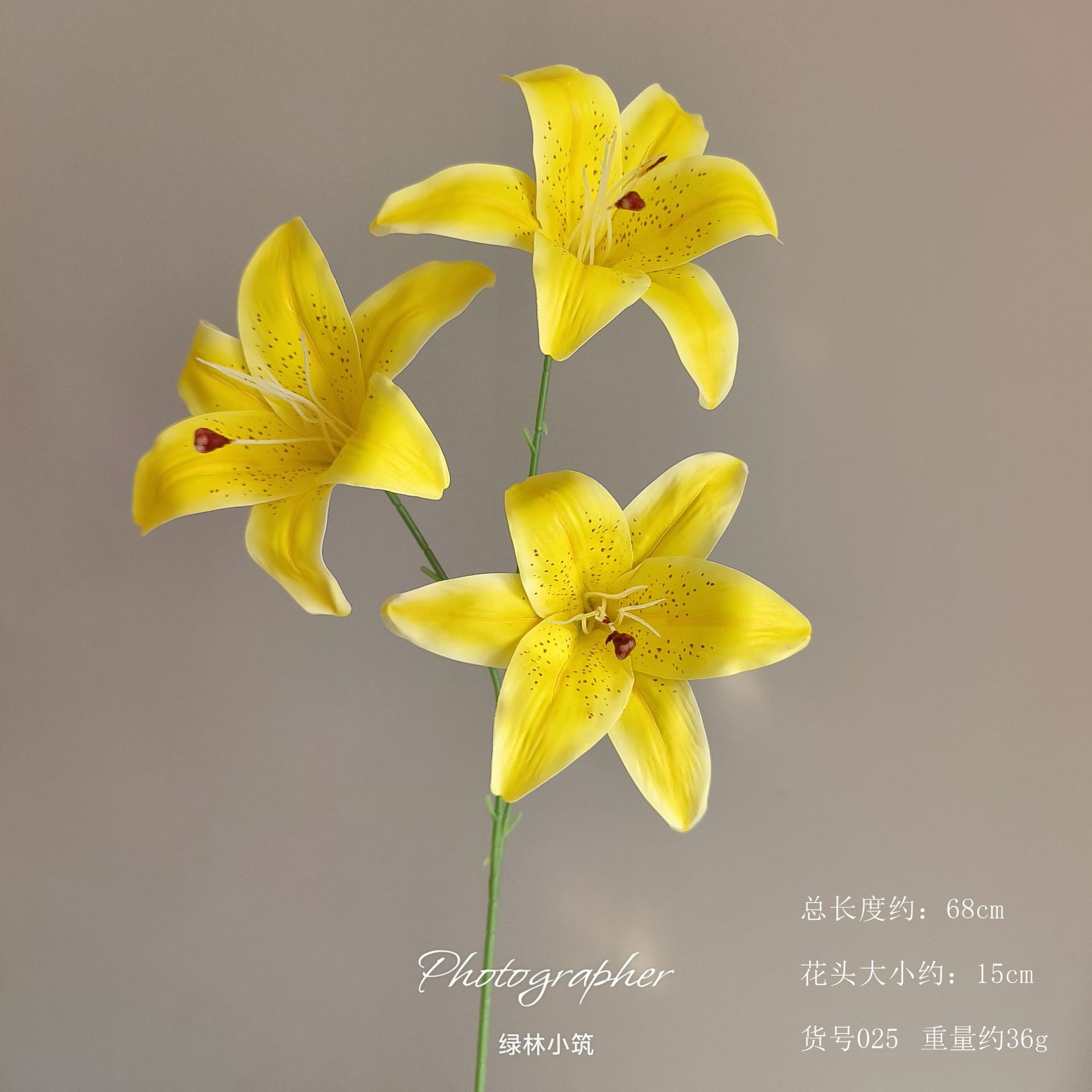 품목번호 025-머리가 세 개인 백합-잎 없음