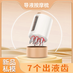 新商品の頭皮に薬を入れる器の電気振動マッサージの櫛の赤い光EMSマイクロ電流の薬を入れる器の頭皮に薬を入れる櫛