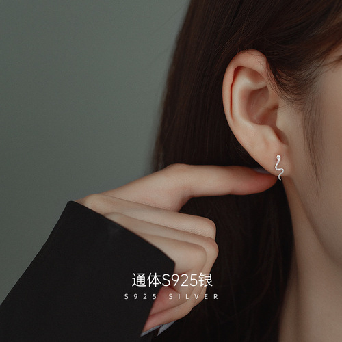 Under the Banyan Tree S925 silver snake-shaped earrings for women simple niche design small snake earrings small cute earrings new trendy