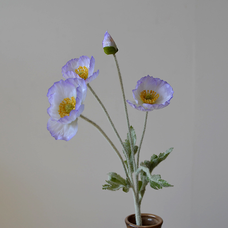 밝은 보라색 파란색