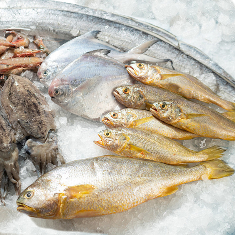 舟山海鲜套餐组合新鲜速冻大黄鱼银鲳鱼墨鱼团购一件代发顺丰包邮