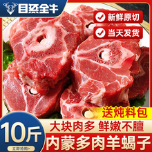 内蒙古羊蝎子火锅新鲜带肉羊骨头多肉10斤20斤羊脊骨生鲜商用羊肉