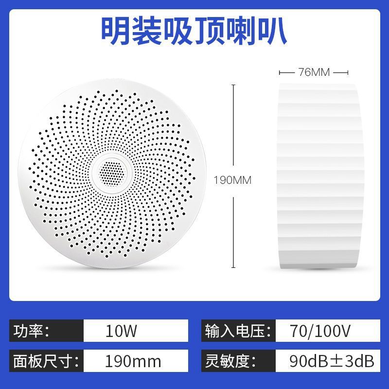 先科吸頂音響商用店舗室内吊り壁吊りボールスピーカー天井スピーカー埋め込み式スピーカー|undefined