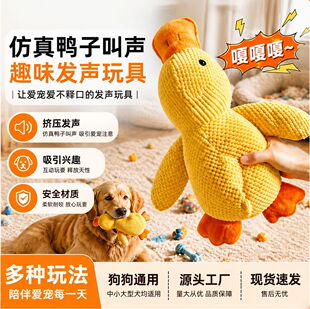 �羳�������ë�q�S���l���˳��޹����Ь��ĥ����ҧ������Ʒ