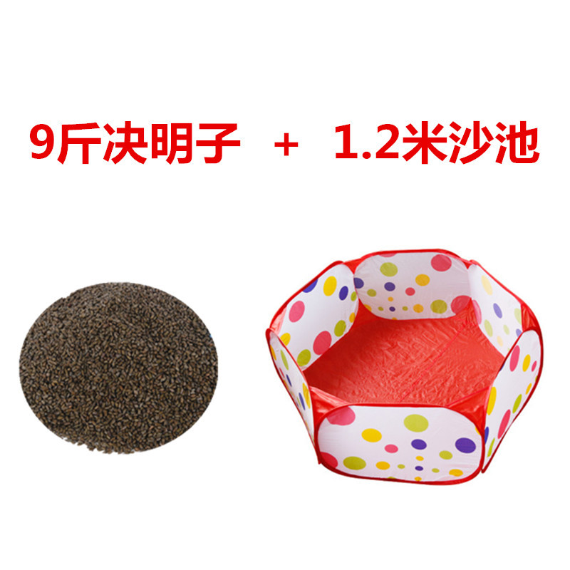 Wild Cassia Sand Wholesale Juguetes de interior para niños Juego de piscina de arena Patio de juegos Puesto Cassia Sand Beauty Journey