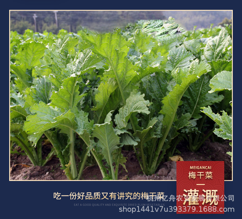 梅干菜-详情页_07.jpg