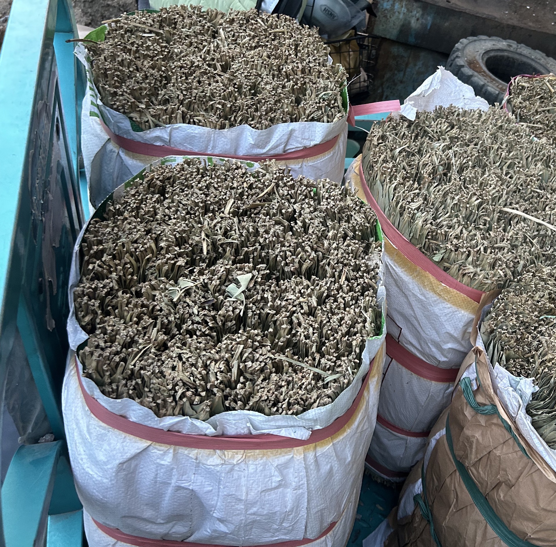 微信图片_20240424181428