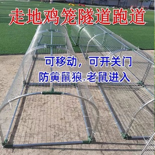 �ߵ��F�W�u�\�ܵ��B�u�����\���r���������_�u�\��ͥԺ�r����ɢ�B
