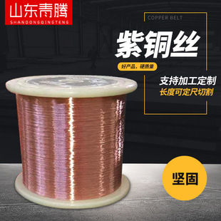 T1T2 Copper Wire C1100 Handmade Pure Copper Wire Tu1Tu2 Oxygen-Free Copper Wire Conductive Annealed Jewelry Crafts Shaft