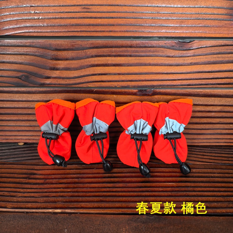 오렌지