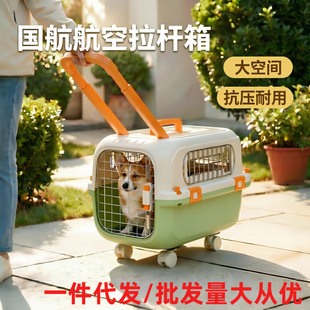 �������U��؈�乷��������ɵǙC�f��݆��̖��y������؈�����\��
