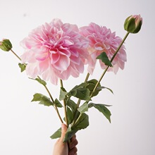 ���滨�ָ�2�^���������� �Ĕz��Y�͏d�b��ܻ�ˇ�辰�ٻ��[�O