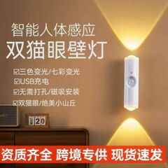 クロスボーダーの新しいインテリジェント人体センサーランプ、パンチフリー磁気雰囲気ランプ、充電式ナイトライト、ダブルキャットアイウォールランプ