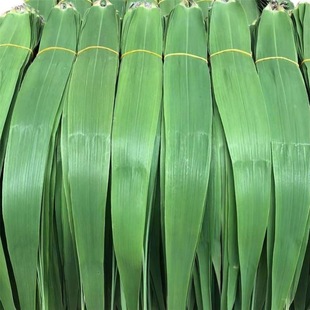 Farm zongzi leaves reed leaves fresh wild zongzi leaves pure package zongzi free-of-mail tablets are picked and distributed on the same day.