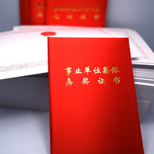 事业单位个人和集体嘉奖记功证书绸缎卷草纹内页荣耀表彰奖状定制