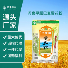 ɹŰѩ50bСۼӰz^l