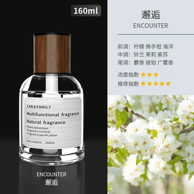 Car Perfume Aromatherapy Perfume High-End Fragrance Long-Lasting - 1-bottle-chanel-encounter-super-large-capacity-160ml