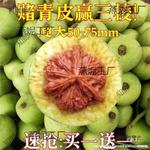 座楼狮子头麒麟纹大官帽青皮文玩核桃赌青皮可能出三棱四棱麦太保