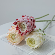 ���W�E���������ֲ�q��Ʒ�|ܛ�b��ˇ���������мҾӻ�c�zӰ��