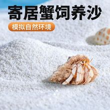 寄居蟹造景天然饲养沙垫材家用养殖箱创意装饰铺底沙爬宠垫料用品
