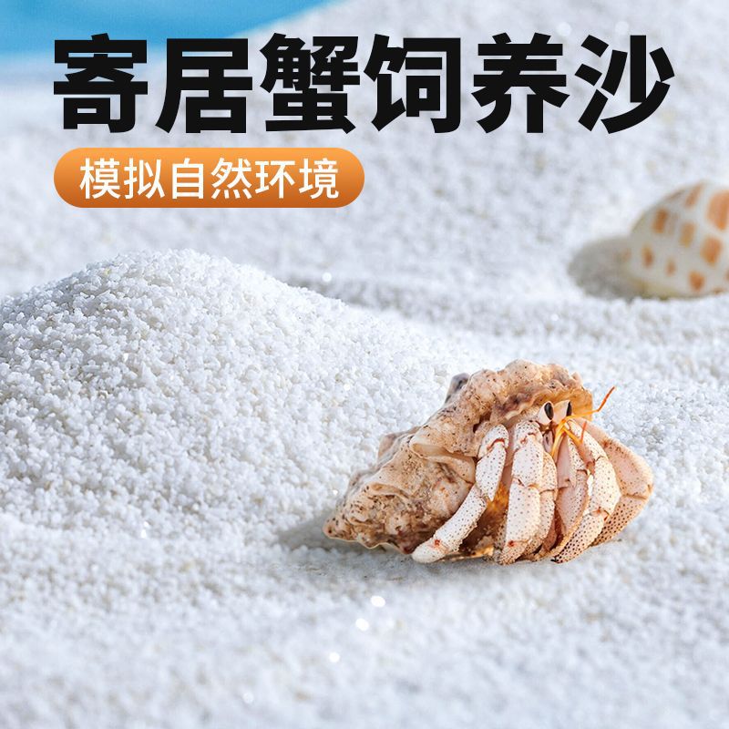 寄居蟹造景天然饲养沙垫材家用养殖箱创意装饰铺底沙爬宠垫料用品