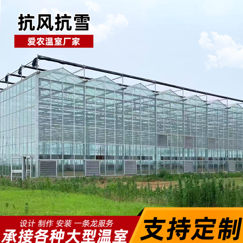 Glass Greenhouse Skeleton Intelligent Greenhouse Shading Greenhouse Vegetable Flower Greenhouse Seedling Raising and Seedling Raising Greenhouse