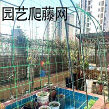 ֲ�����پW����������S���¼����Ͻz�Ͽ�����ѷNֲ�W������ܾW