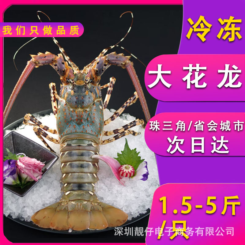 澳洲大花龙虾新鲜冷冻中华锦绣龙虾冰鲜生冻青龙速冻海鲜龙虾类