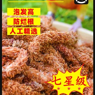 �����M��ˮ̦ëë�xˮ̦��̦�\�m���I�B���������߉|�ĺ����m����