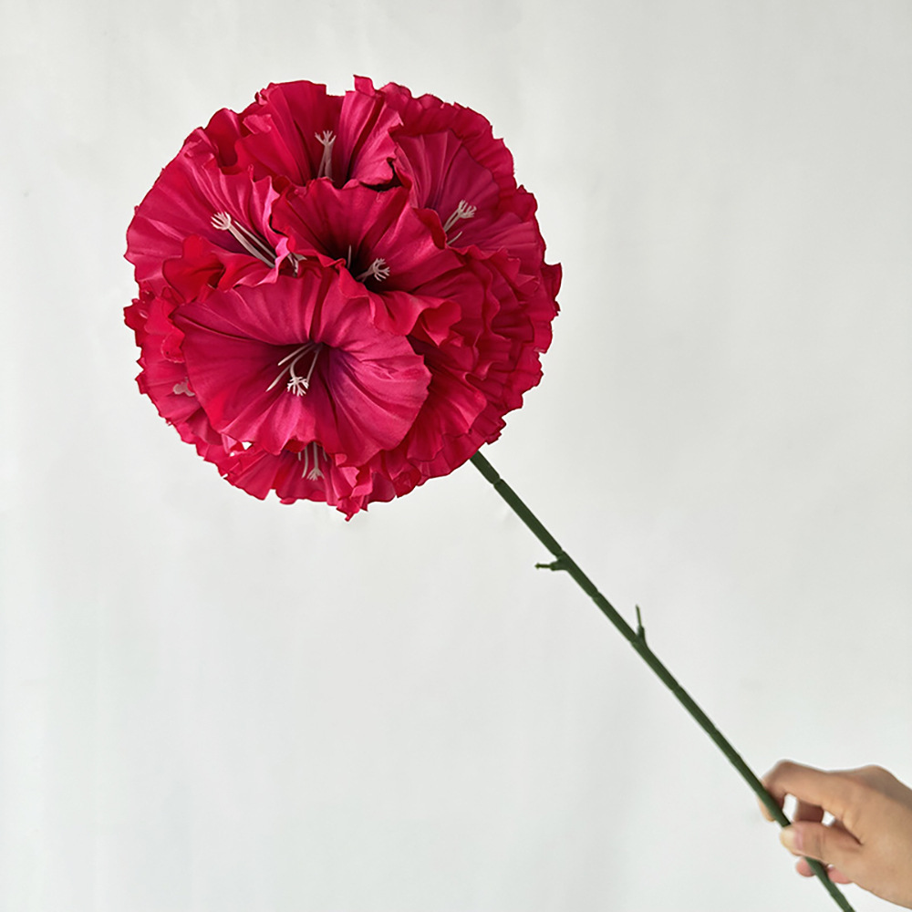 위안바오 풍차 열매