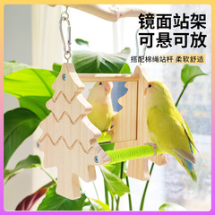 オウムの両面鏡の駅の竿は駅の竿のブランコのおもちゃを掛けて退屈します。
