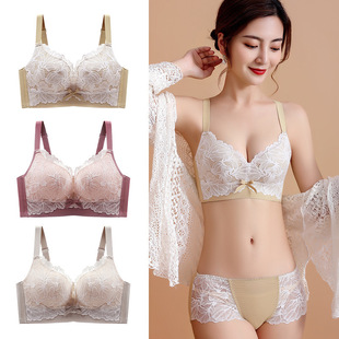 �ļ��������Ů�o�Ȧ�����@С�۔n�����ٽz͸���{�����ո�������