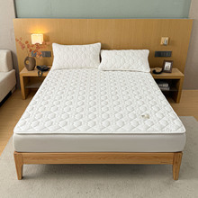 A�������ȫ��100�½��޻����A�޴��|���o�|ܛ�|����W�����|