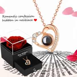 俄罗斯跨境100种语言投影石吊坠锁骨链时尚nis风ozon热卖桃心项链