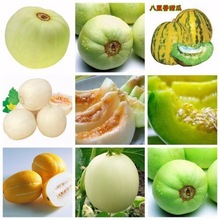 ��Ʒ�N��ϷN���������ϷN�Ѽ�ͥ����ˮ���N��ˮ���Nֲԭ�S���b